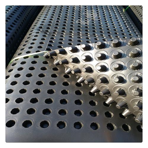 厂家现货供应塑料排水板 质量保障 抗压性能好 车库顶板蓄排水板